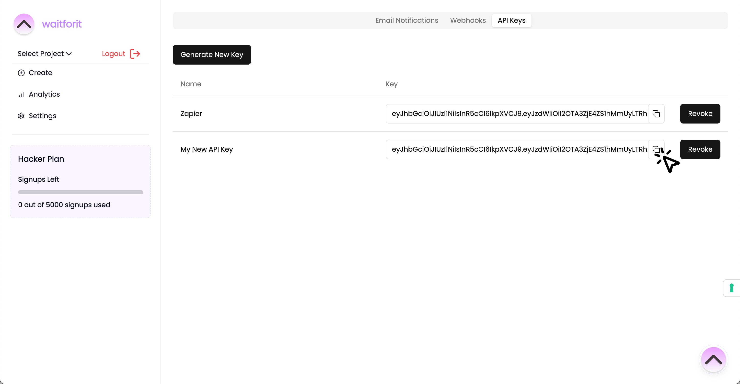 Clicking Copy API Key button